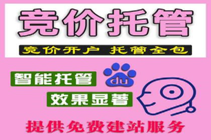 百度竞价广告的投放策略及某行业案例剖析